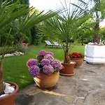 Violetta Vendeghaz 아파트