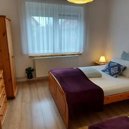 Apartment Violetta Vendeghaz *