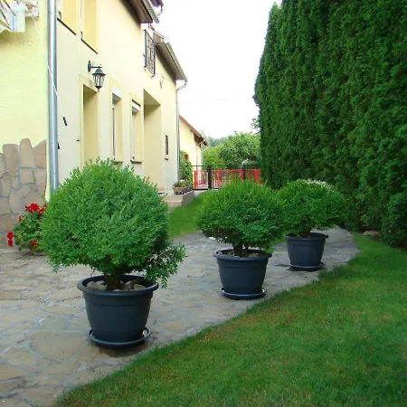 Violetta Vendeghaz * ケストヘイ