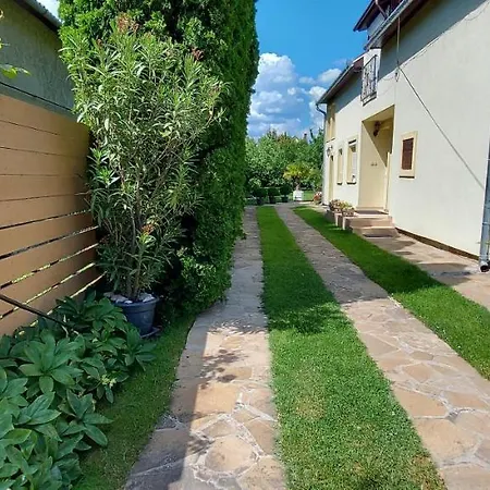 Violetta Vendeghaz アパート ケストヘイ