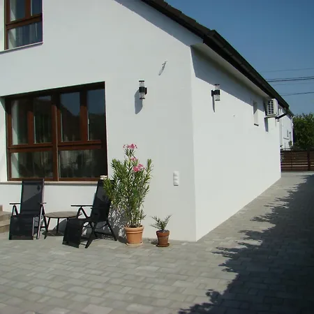 Violetta Vendeghaz *