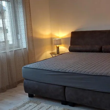 فيوليتا فينديغاز