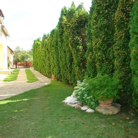 Violetta Vendeghaz * Keszthely