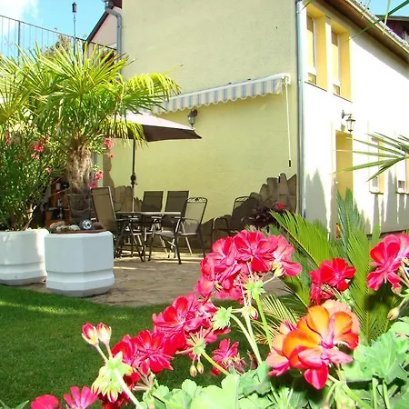 アパート Violetta Vendeghaz *