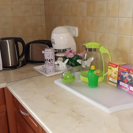 Violetta Vendeghaz アパート ケストヘイ