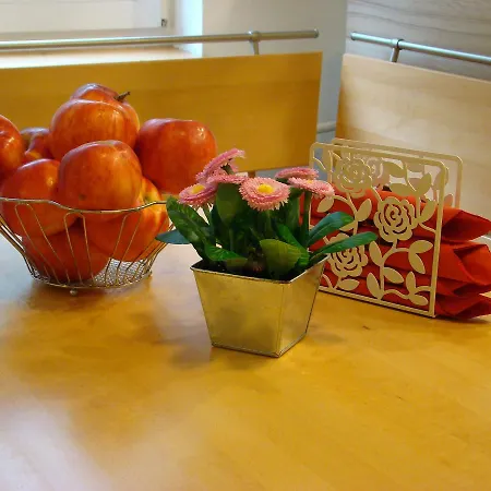 Violetta Vendeghaz ケストヘイ