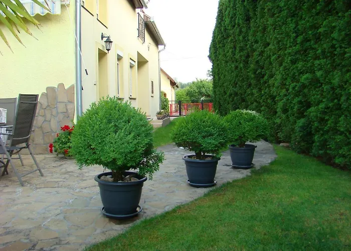 Violetta Vendeghaz * 케츨리