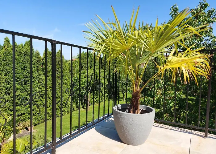 아파트 Violetta Vendeghaz *