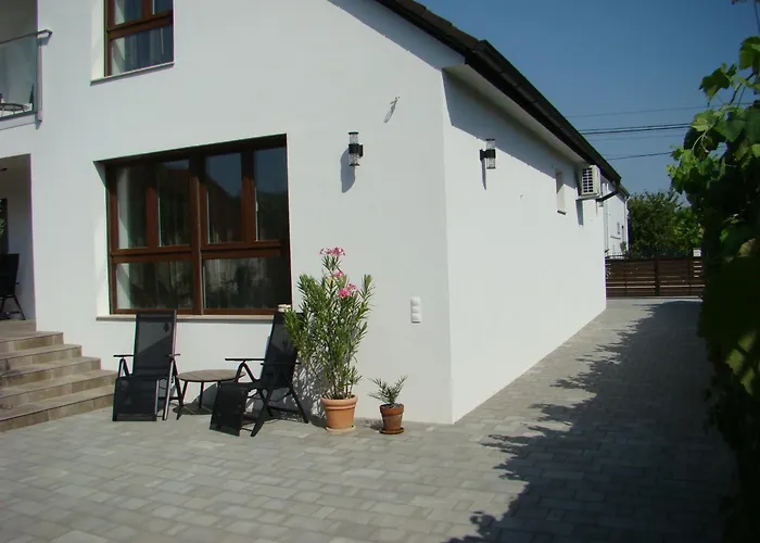 Violetta Vendeghaz *