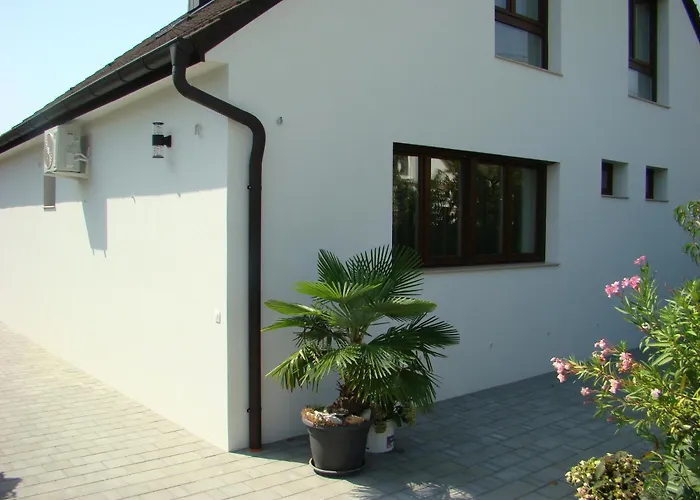 Violetta Vendeghaz 아파트 케츨리