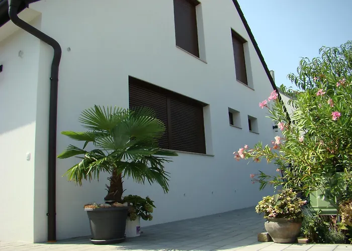 Violetta Vendeghaz 케츨리