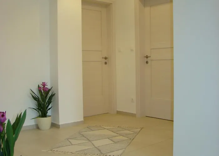 Violetta Vendeghaz *