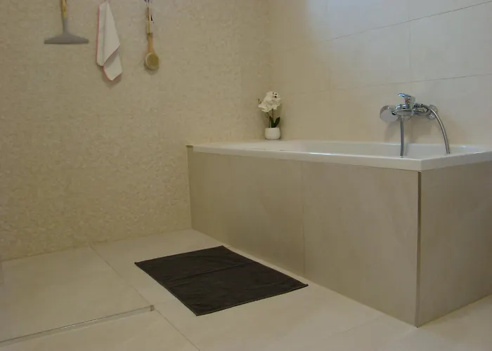 Violetta Vendeghaz 케츨리