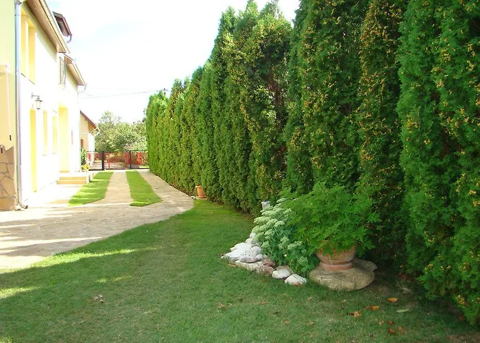 Violetta Vendeghaz * 케츨리