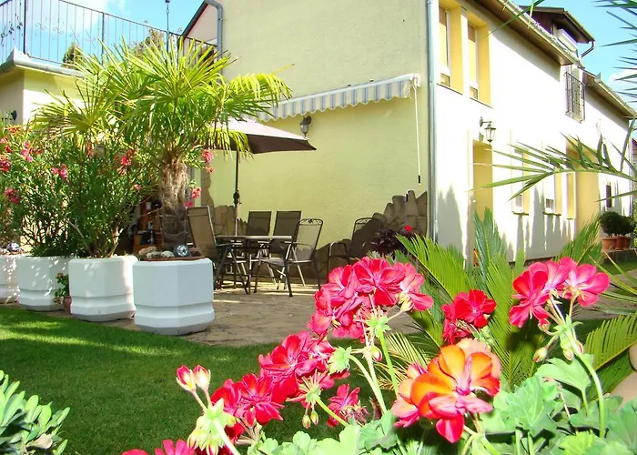 아파트 Violetta Vendeghaz *