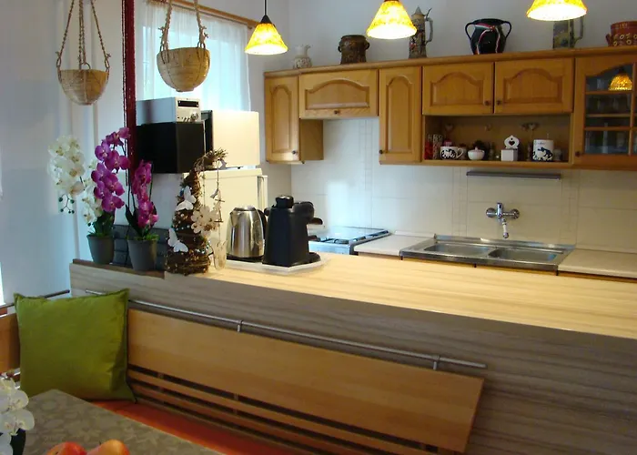 Violetta Vendeghaz * 케츨리