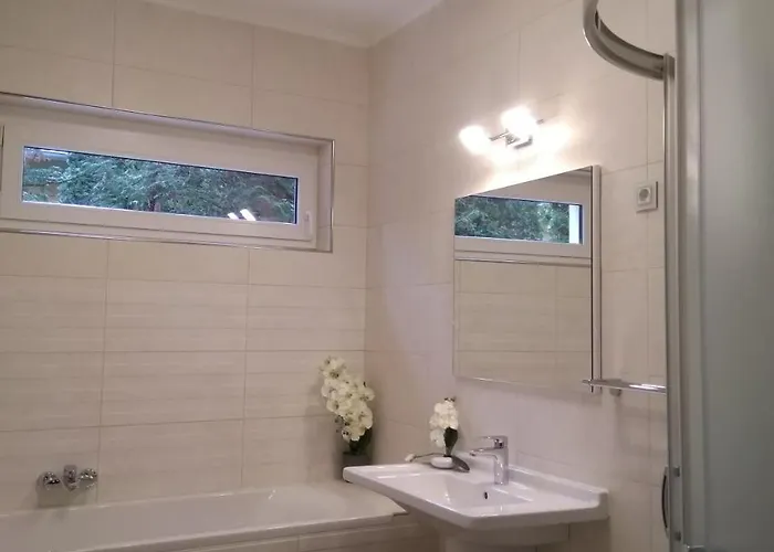 Violetta Vendeghaz *