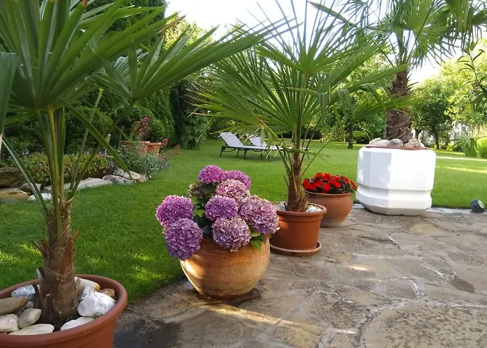 Violetta Vendeghaz 아파트